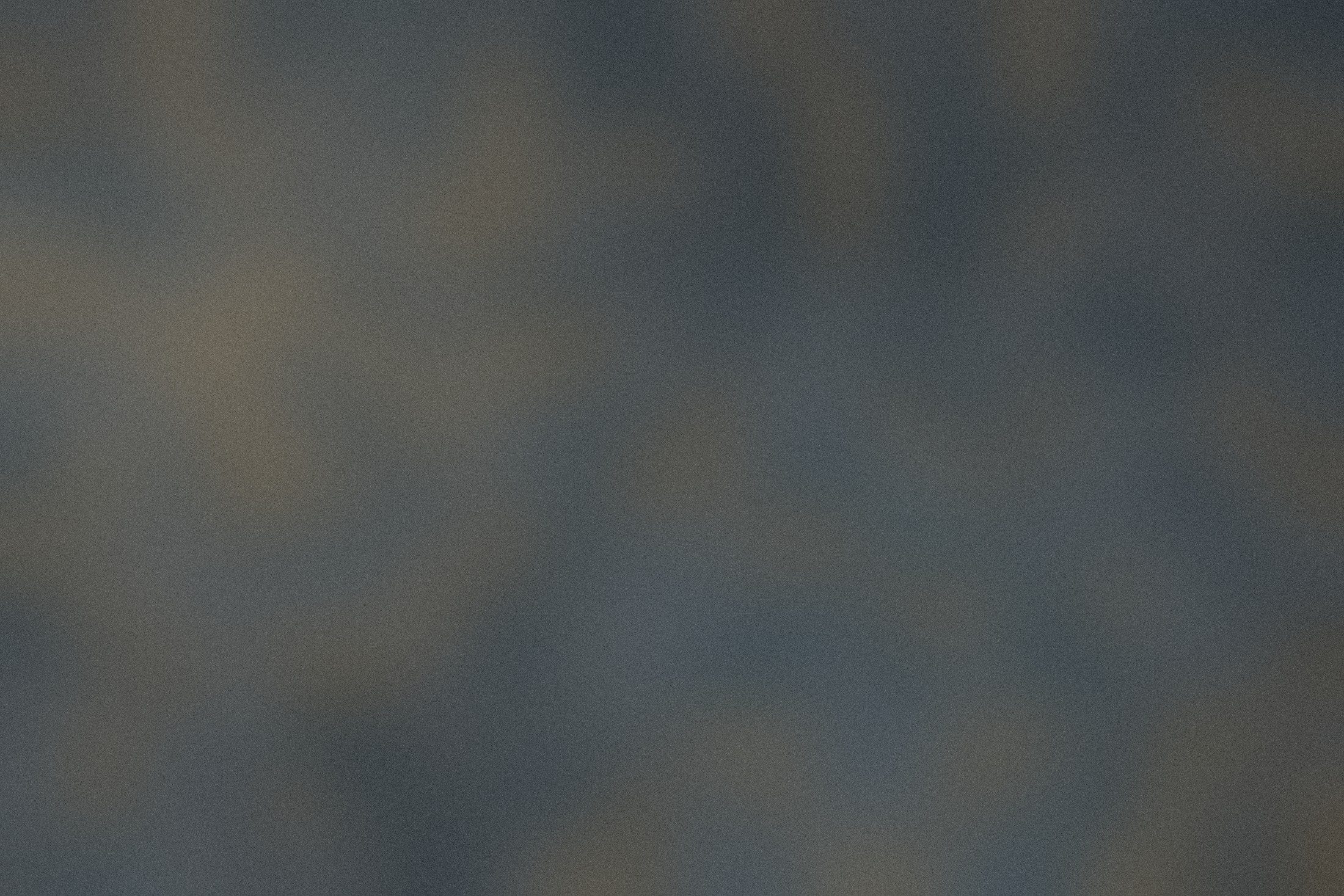 Detail of the prisms near the focal plane.