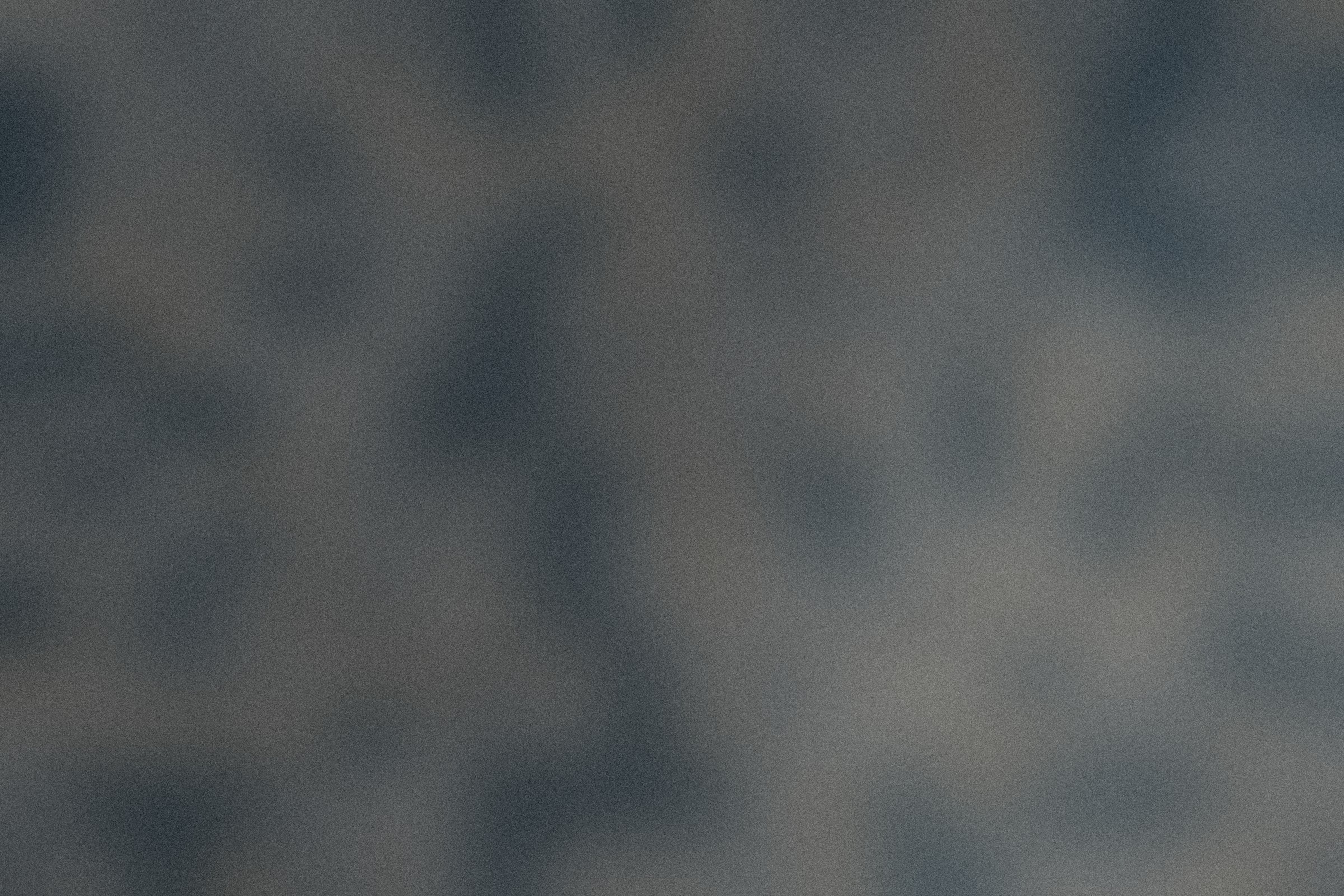 Detail of the prisms near the focal plane.